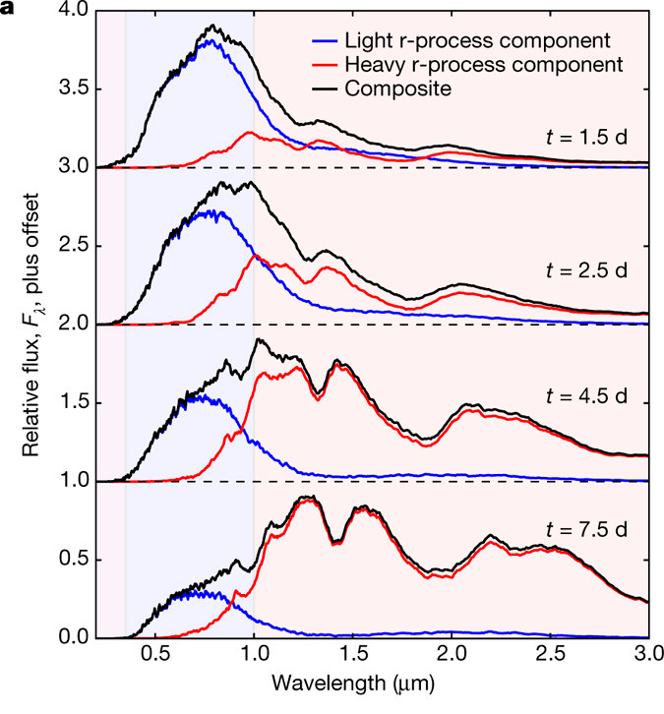Synthetic kilonova spectra over several epochs