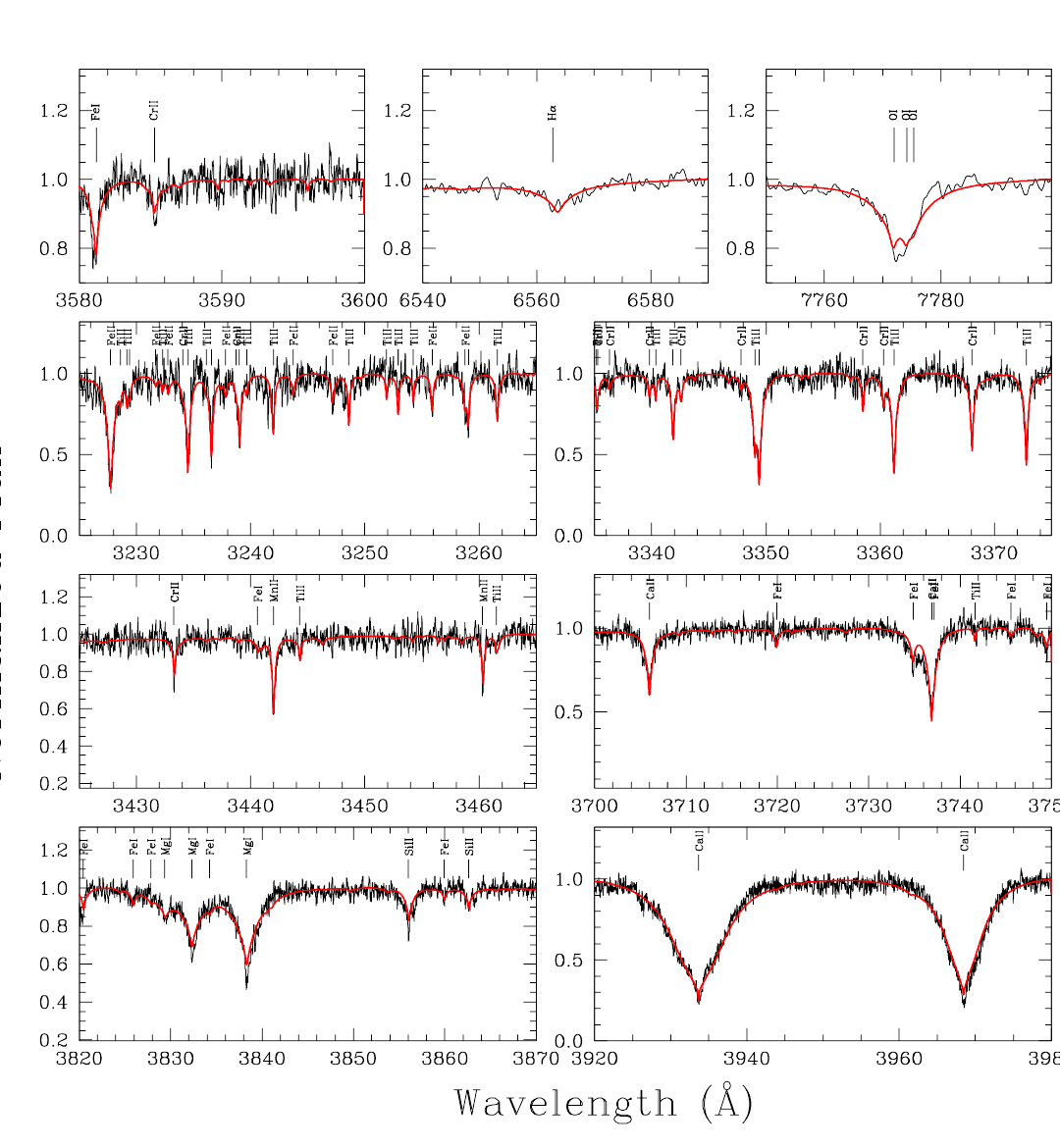 Spectrum and atmospheric model for polluted white dwarf WD 1232+563